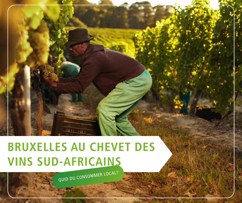 Bruxelles et les vins sud-africains