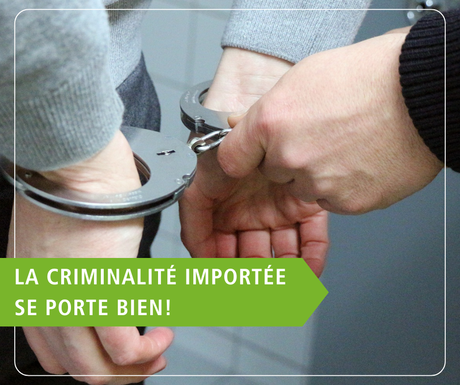 Motion Addor - criminalité